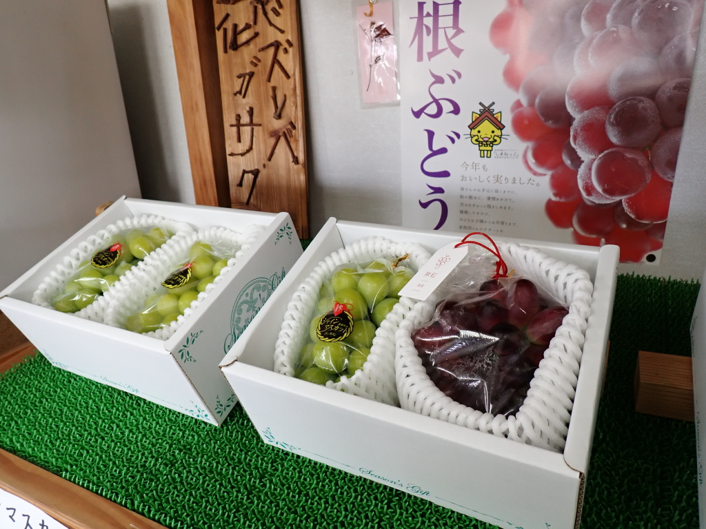 ぶどう様専門ページ 神話の郷ぶどう直売所 – 島根県産美味しいぶどう